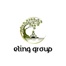 Eling Group Career