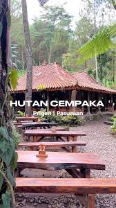 Hutan Cempaka