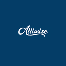 Allwise Store