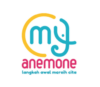 Anemone Jogja