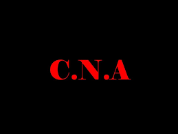 PT. Citra Abadi Nusantara