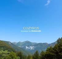 CozyKos.ID
