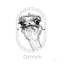 Ostrich Cafe and Resto