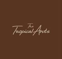 The Tropical Ants