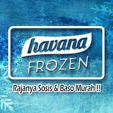 HAVANA FROZEN FOOD